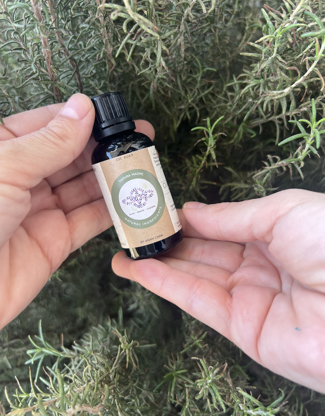 Tintura madre Cuachalalate